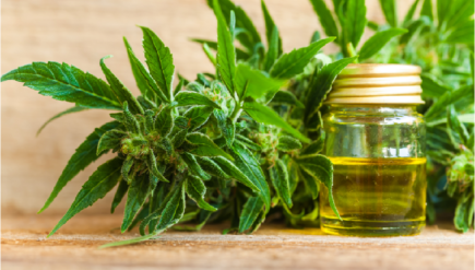 CBD Helps Seizure Patients