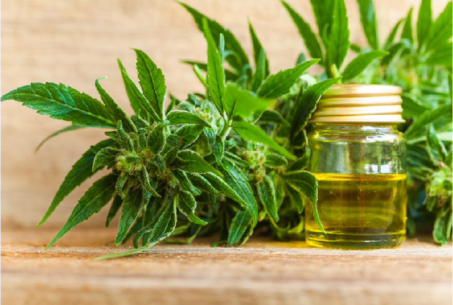 CBD Helps Seizure Patients