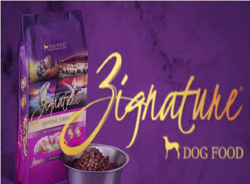 Turkey Grain Free Dog Food