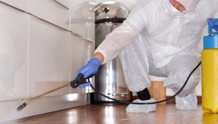 Reasons to Hire Pest Control Service Provider