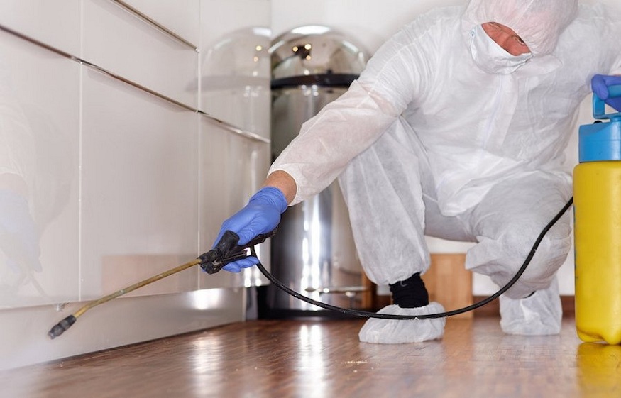 Reasons to Hire Pest Control Service Provider