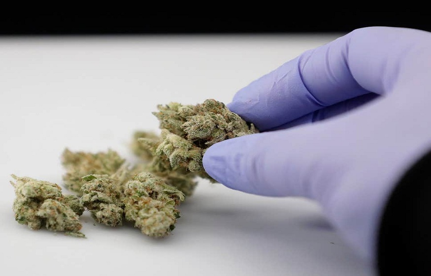Best Medical Marijuana in Licensed Dispensaries